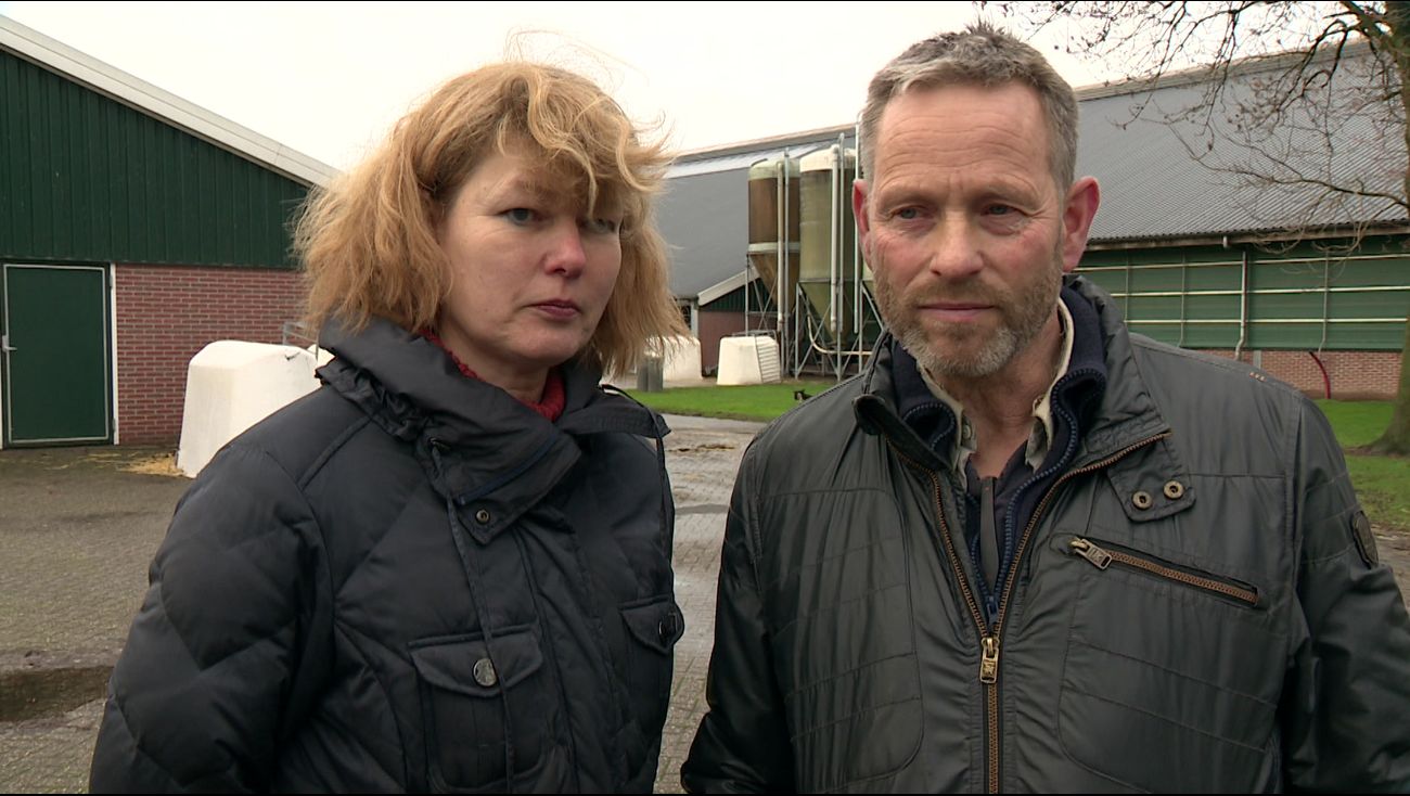Omroep Flevoland – Notizie – I produttori di latte Gerda e John non vogliono lasciare il posto alle caserme militari